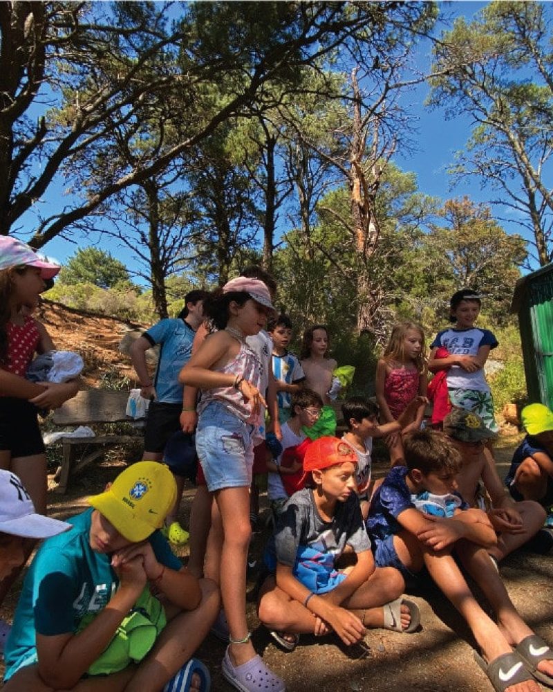 actividades