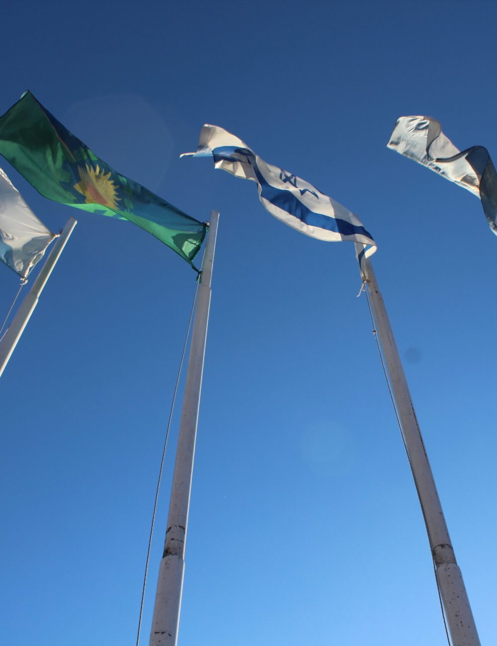 banderas pilar