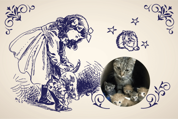 cats Hebraica article 41 2024-04-24