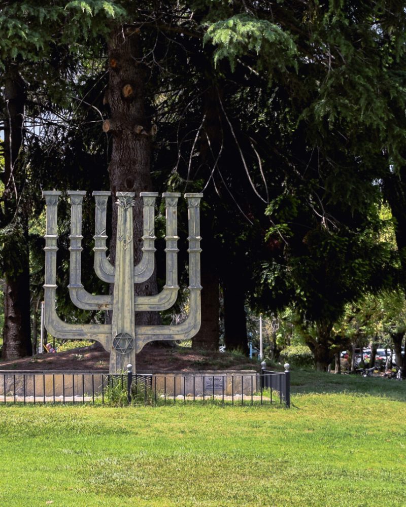 institucional